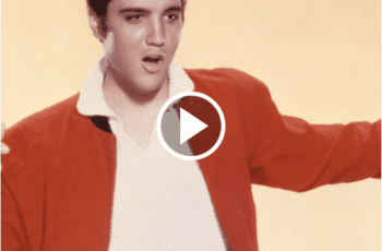 The Magic of Elvis Presley’s ‘Kentucky Rain’: A Musical Tribute